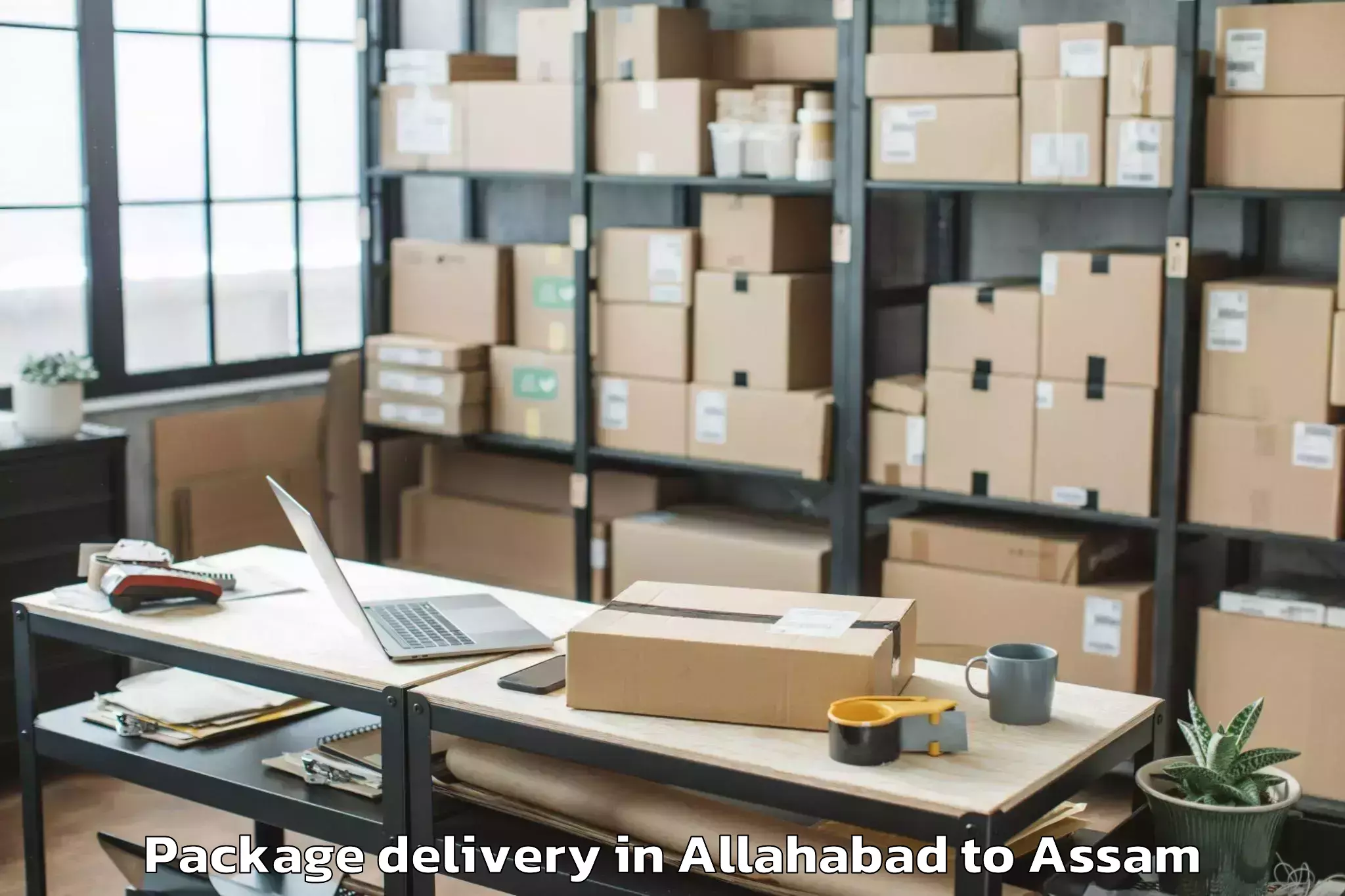 Reliable Allahabad to Dhakuakhana Package Delivery